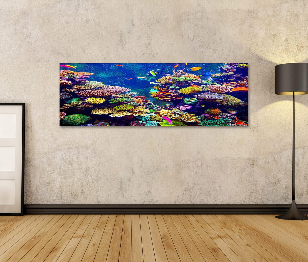 islandburner Bild auf Leinwand Singapur Aquarium Korallenriff Tropische Fische Sonnenlicht Bilder Wa