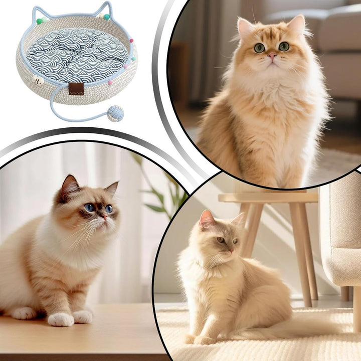 Instinct Cats Korb mit Katzen Ohrgriffen &amp; Interaktivem Balls Spielzeug | Natürliches Baumwollseil,