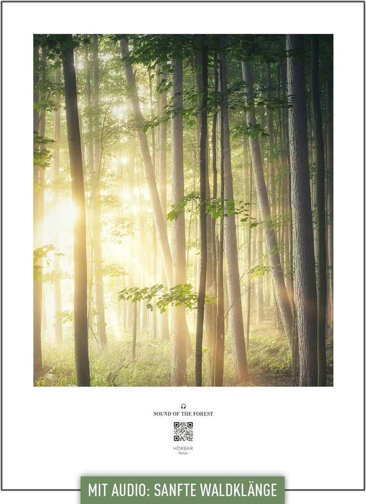 VALINA HÖRBAR RELAX | Hörbild | SOUND OF THE FOREST | Magic mood | Im Rahmen Weisser Rahmen 32,5cm 4