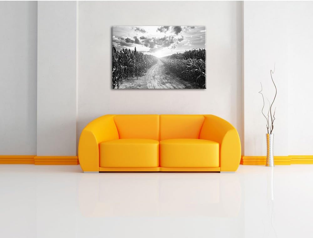 Pixxprint Pfad durch sonniges Feld Kunst B&W als Leinwandbild/Grösse: 100x70 cm/Wandbild/Kunstdruck/