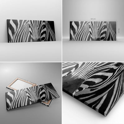 Wandbilder Dekoration Wohnzimmer Tiere Zebra gestreift Panorama Bilder auf Leinwand 120x50cm Leinwan