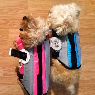 VIVAGLORY Hunde Schwimmweste mit abnehmbarem Frontauftrieb, Rettungsweste mit Reflektierenden Besätz