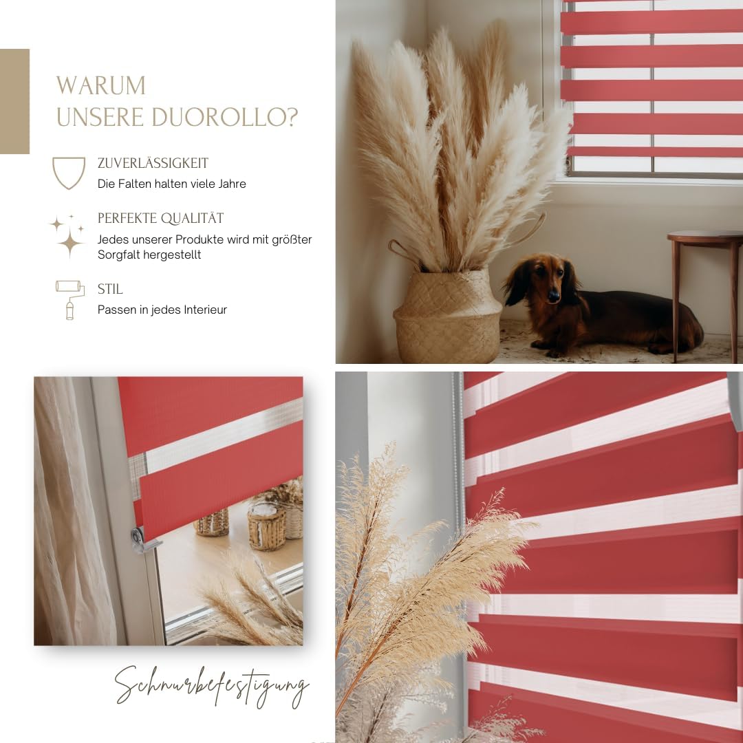 Home-Vision® DuoRollo Klemmfix, Doppelrollo ohne Bohren mit Klämmträgern, Rollos für Fenster und Tür