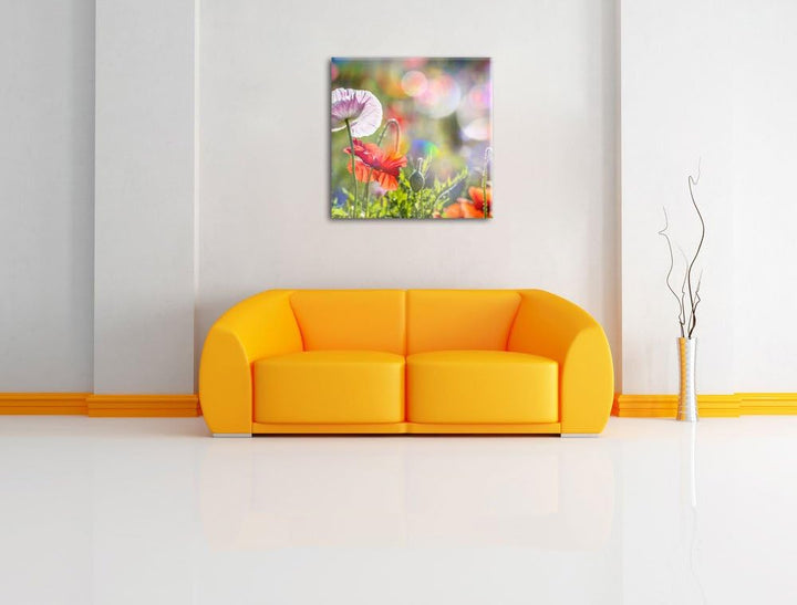 Pixxprint Kalifornischer Mohn im Frühling, Format: 70x70 auf Leinwand, 70x70
