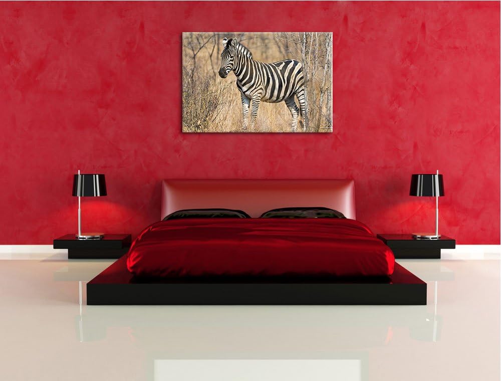 Pixxprint einsames Zebra auf Leinwand, XXL riesige Bilder fertig gerahmt mit Keilrahmen, Kunstdruck