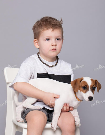 Bernsteinkette Hund, Bernsteinhalsband Hunde mit Perlen, Zeckenschutz Katze & Hunde, Baltischer Bern