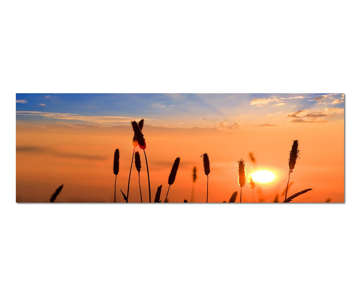 Paul Sinus Art Panoramabild auf Leinwand und Keilrahmen 150x50cm Getreide Feld Sommer Sonnenuntergan