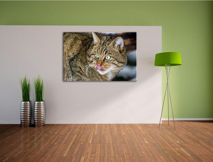 schöne Manul in Schneelandschaft auf Leinwand, XXL riesige Bilder fertig gerahmt mit Keilrahmen, Kun