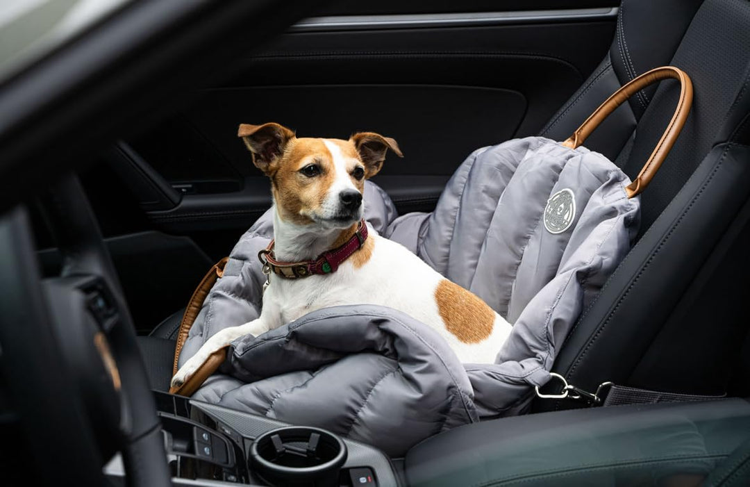 Flying Dog Baily Hundereisetasche Hundetasche mit Memory-Matratze, Autositz, Pet Seat, Stil und Gemü