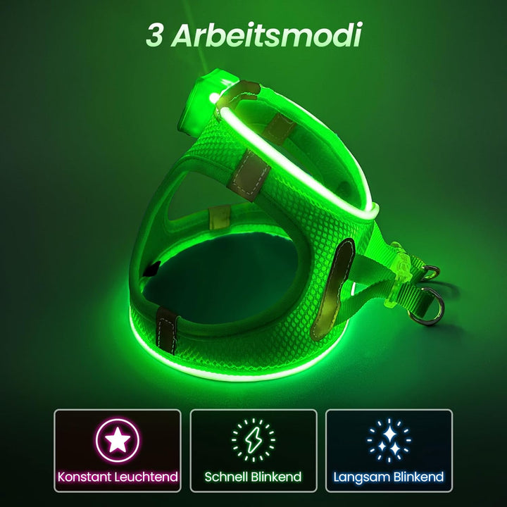 PcEoTllar Hundegeschirr Leuchtend, Leuchtgeschirr LED Aufladbar & Reflektierendes, Beleuchtetes Leuc