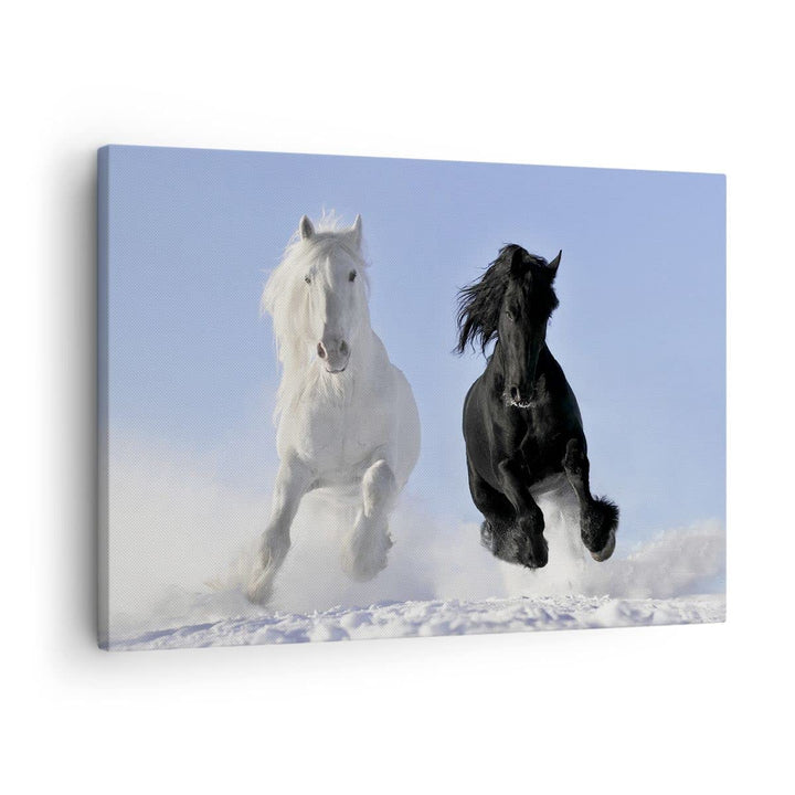 Bilder auf Leinwand Tiere Schönheit Wettbewerb Leinwandbild 70x50cm Wandbilder Dekoration Wohnzimmer
