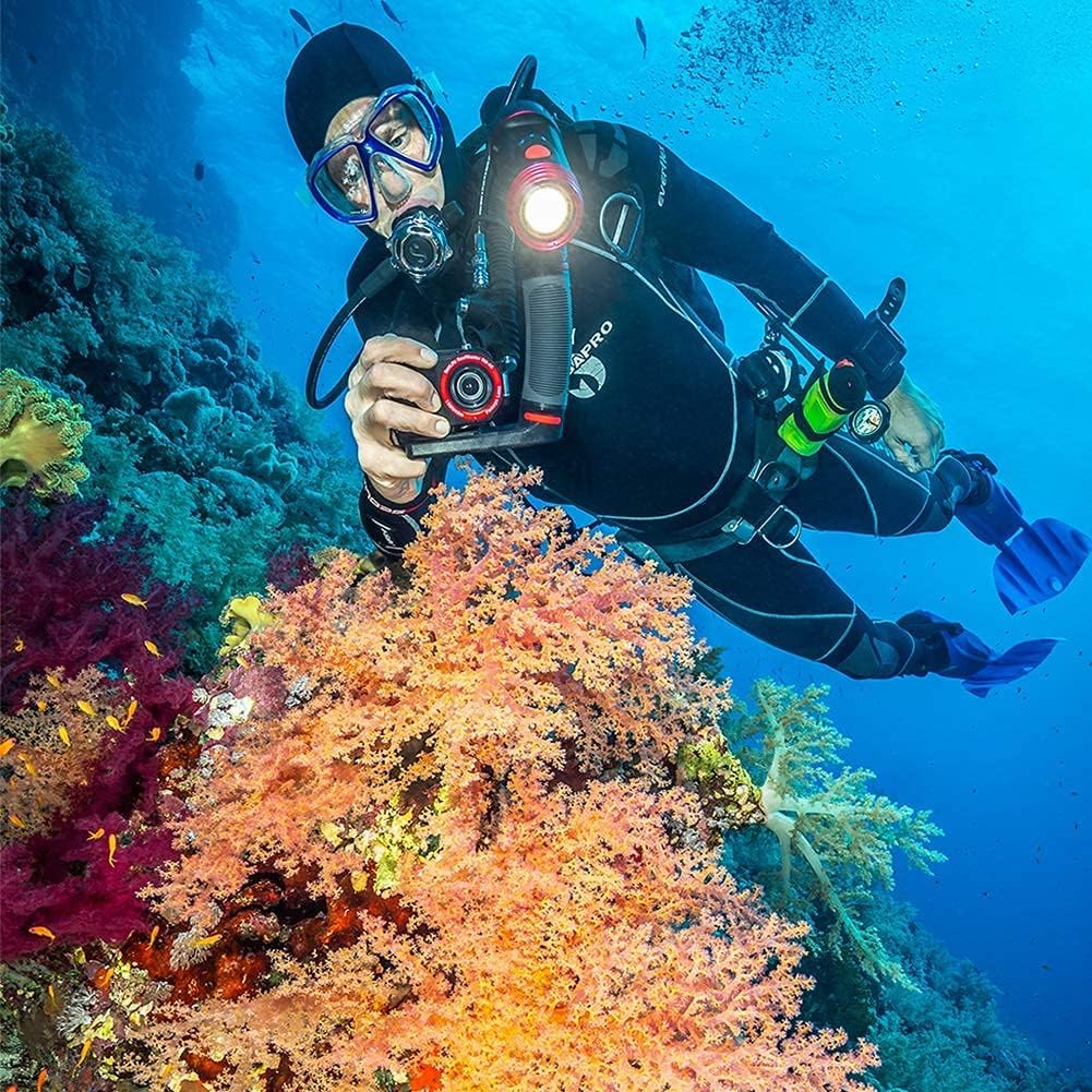 Sealife Reefmaster RM-4K Pro 2000 Set Pro 2000 Set (Kamera + Sea Dragon 2000F Licht+Zubehör), Pro 20