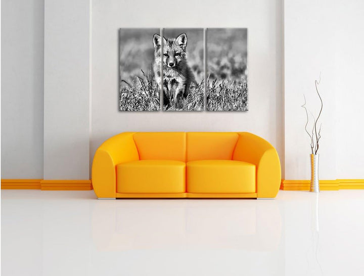Pixxprint Kleiner Fuchs als Leinwandbild/Grösse: 3 Teilig (120x80) cm/Wandbild/Kunstdruck/fertig bes