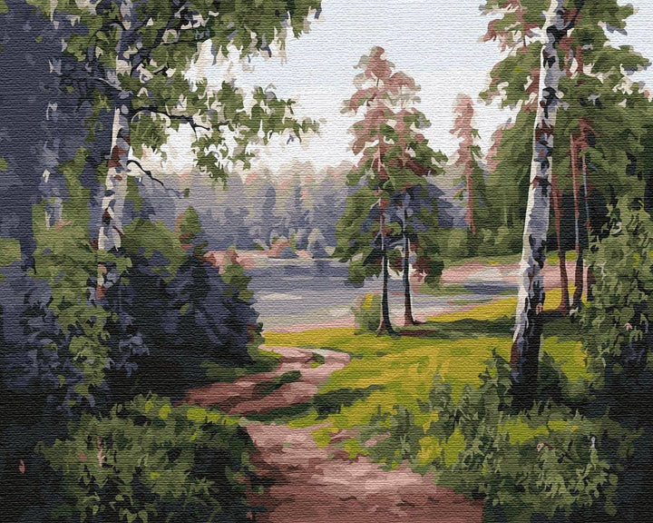 Artnapi Malen nach Zahlen Erwachsene mit Rahmen | DIY Handgemalt | Natur - Forststrasse | Kit für An