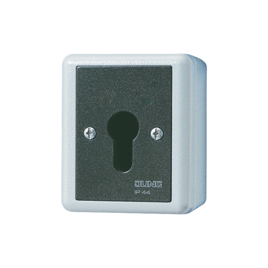 Jung SCHLUESSEL-SCHALTER 10A250V 806.28 G