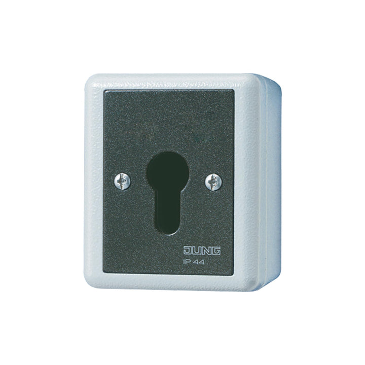 Jung SCHLUESSEL-SCHALTER 10A250V 806.28 G