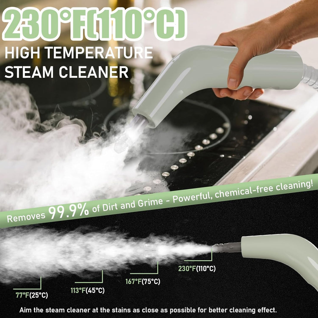 Dampfreiniger, 2500W Leistungsstarker Dampfreiniger Handgerät mit 6 Bürstenköpfen, Mehrzweck Steam C