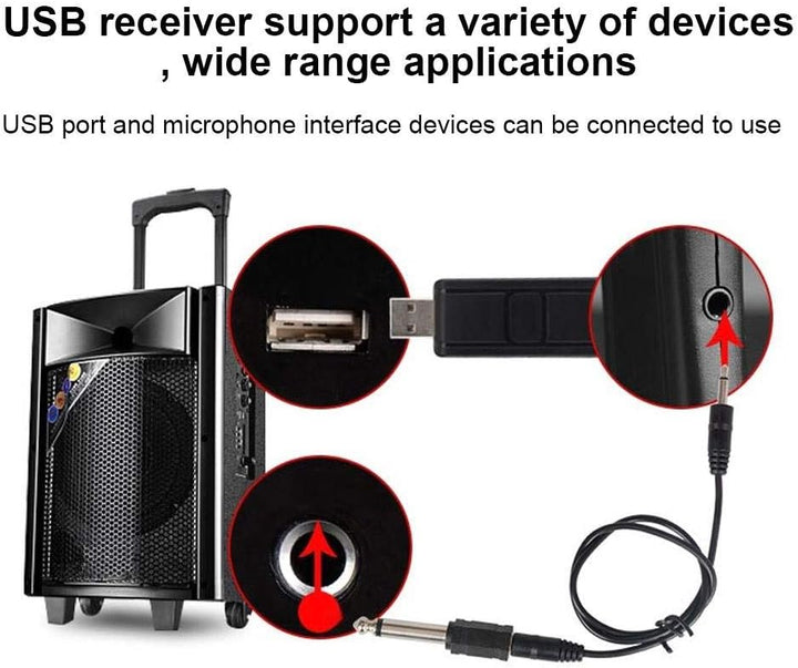Topiky Drahtloses Mikrofon, professioneller drahtloser UKW-Handmikrofon-Audioverstärker mit USB-Empf