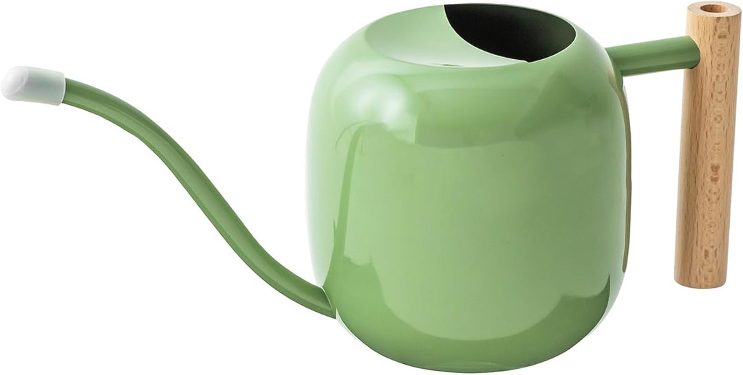 Baffect Giesskanne für den Innenbereich, 1,2 l, Edelstahl, Bonsai-Giesskanne mit glattem Griff, Meta