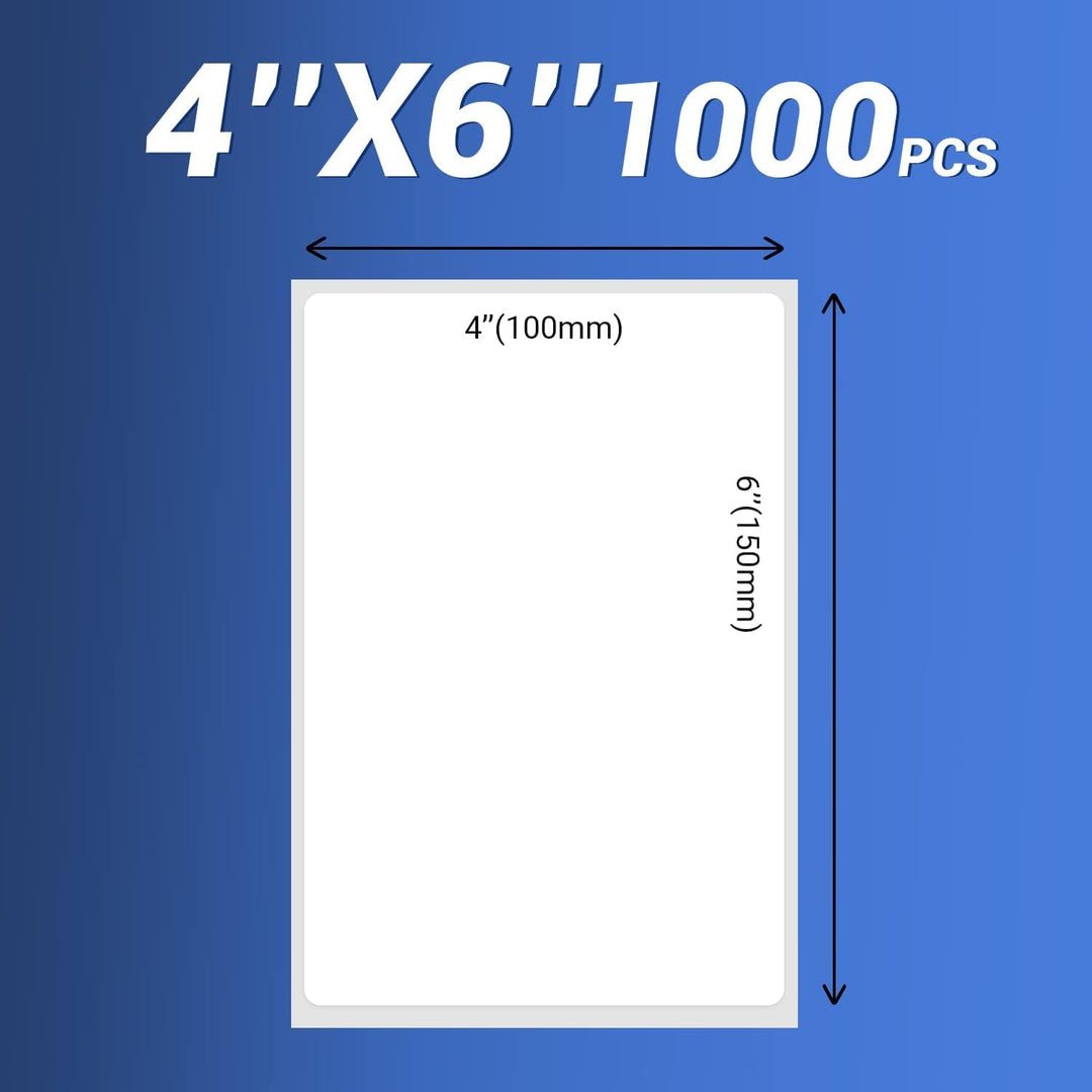 BETCKEY - 102mm x 152mm, Thermo Direktversand Etiketten, Kommerzielles Grade mit Perforation, 4" x 6