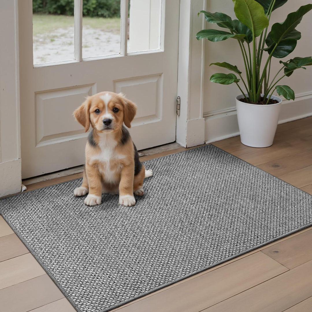DEXI Schmutzfangmatte Innen 61 x 92 cm, rutschfest Fussmatte waschbar, absorbierend Fussmatte, Dünne
