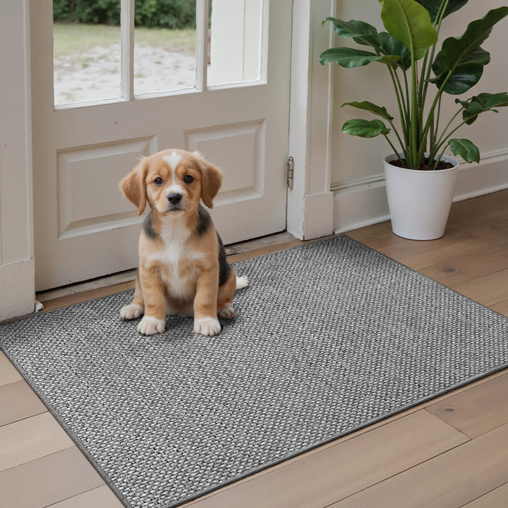 DEXI Schmutzfangmatte Innen 61 x 92 cm, rutschfest Fussmatte waschbar, absorbierend Fussmatte, Dünne