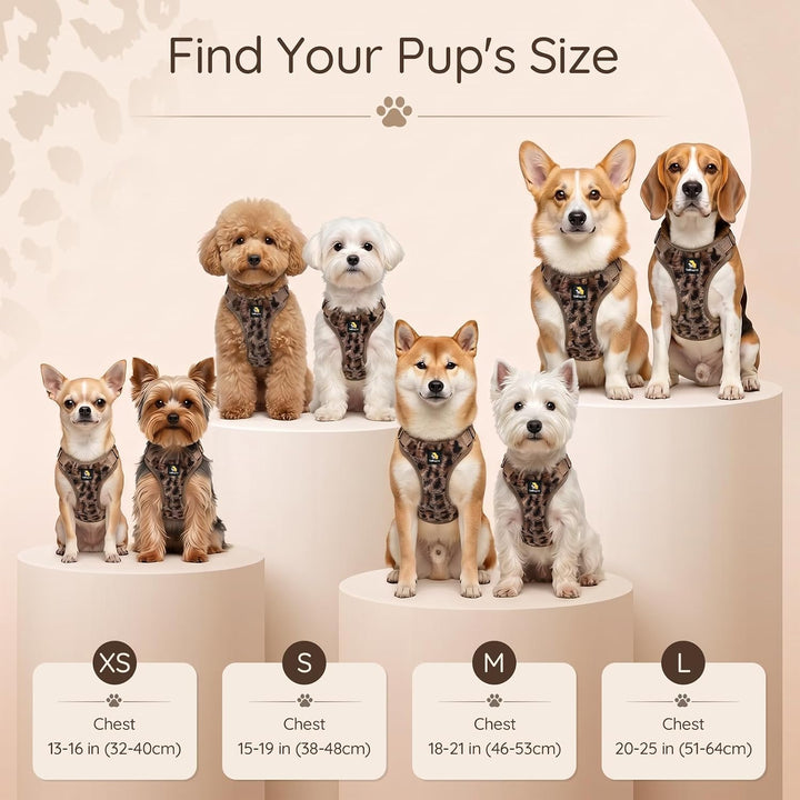 BELLA &amp; PAL Hundegeschirr mit Leine Set, Step-in Geschirr für Welpen/kleine/mittelgrosse Hunde, weic