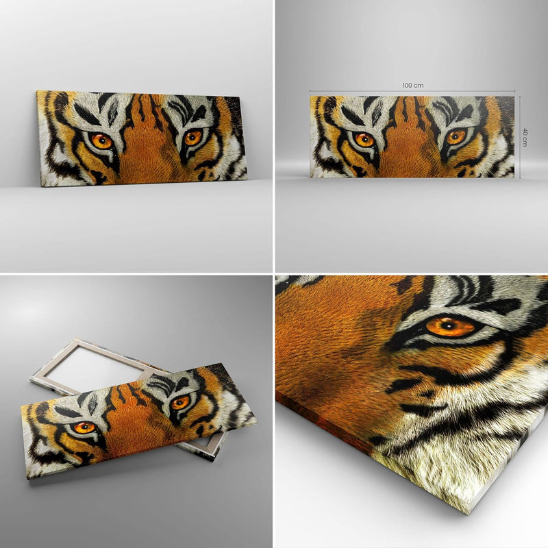 Panorama Bilder auf Leinwand 100x40cm Leinwandbild Tiger Tiere Natur Safari Gross Wanddeko Bild Schl