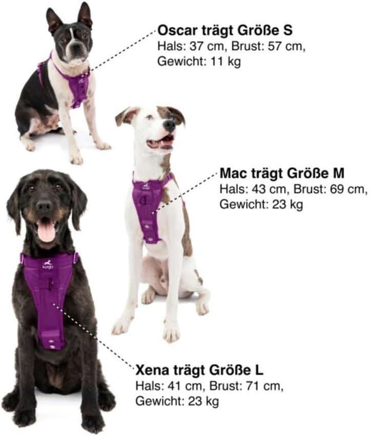 Kurgo Tru-Fit Hundegeschirr, Crash-Test-erprobtes Auto-Sicherheitsgurt, Für Hunde von 2 bis 5 kg, Gr