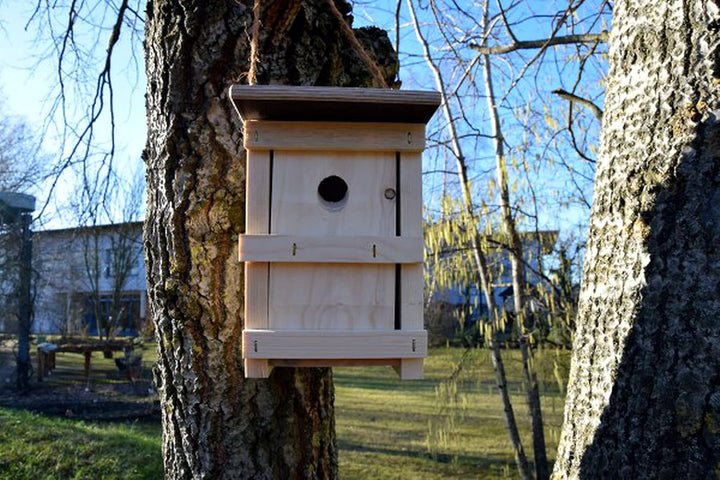 Nistkasten Bausatz aus Kiefernholz zum Selberbauen und Gestalten | Kohlmeise | Artspezifisch und nac