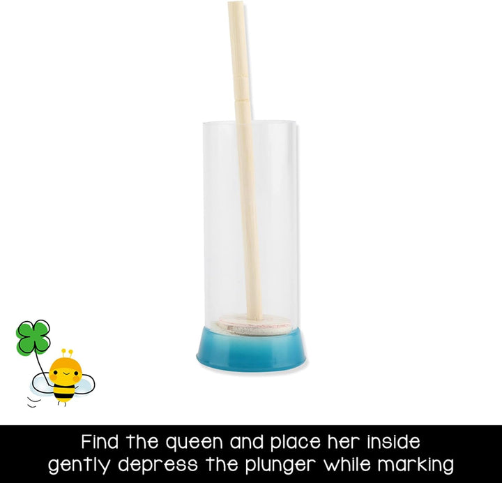Set von 7 PC -Appizierwerkzeugen, Bienenbürste Queen Markierungskäfig Gabel zum Aufstehen Königinfän