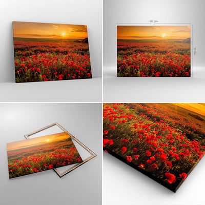 Bilder auf Leinwand 100x70cm Leinwandbild mit Rahmen Mohn Blume Wiese Gross Wanddeko Bild Schlafzimm