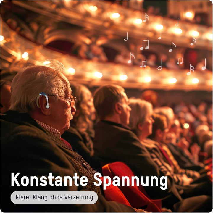 ANSMANN Hörgerätebatterien 312, 60 Stück, Batterien Typ 312 P312 ZL3 PR41, braun, Zink-Luft, Sparpac