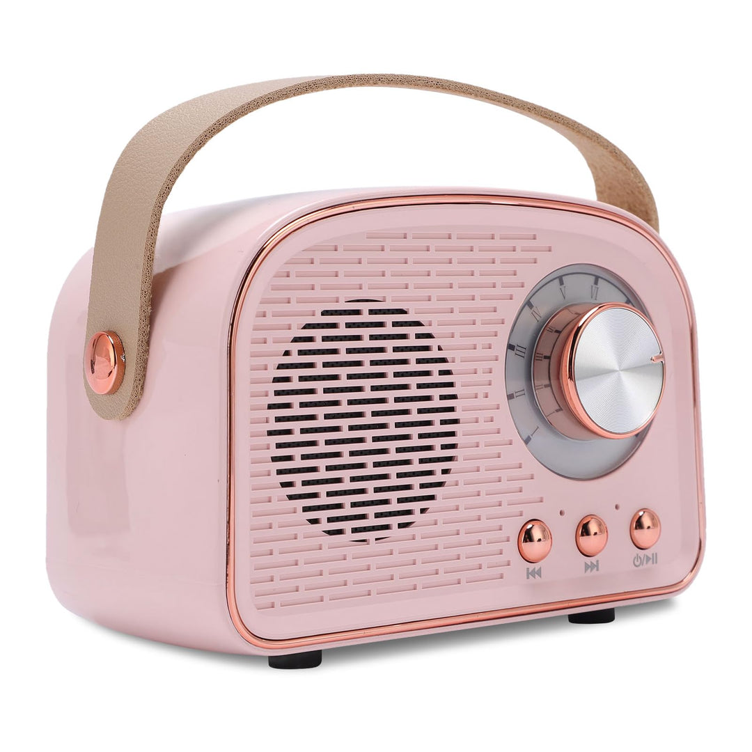 Garsent Retro BT -Lautsprecher, Kleiner Handheld Tragbares Vintage -Dekor für Home Outdoor DW21, 500