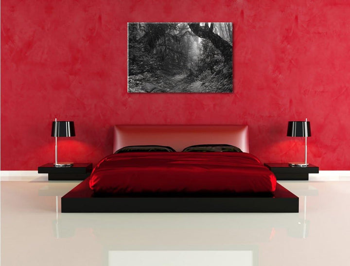 Pixxprint Mystischer Regenwald als Leinwandbild/Grösse: 100x70 cm/Wandbild/Kunstdruck/fertig bespann