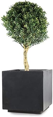 Pflanzwerk® Pflanzkübel Untersetzer *ULTRAFLACHER Designer PFLANZENROLLER* 38x38cm für alle Blumentö