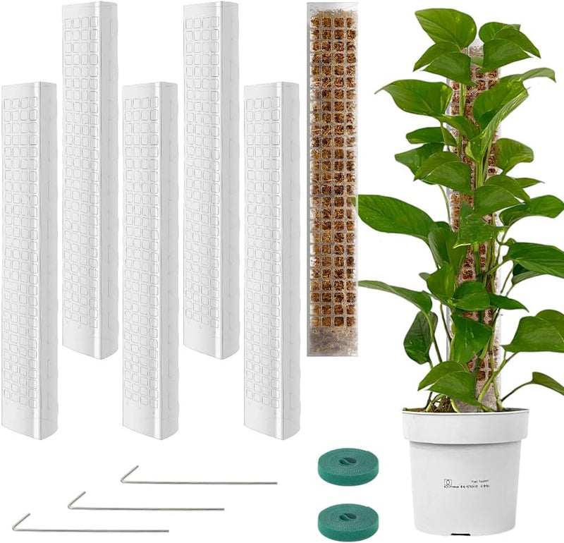 Vicloon Moosstab Rankhilfe, 6 Stück Kunststoff-Moosstange 61cm Monstera Pflanzstab, Pflanzenunterstü