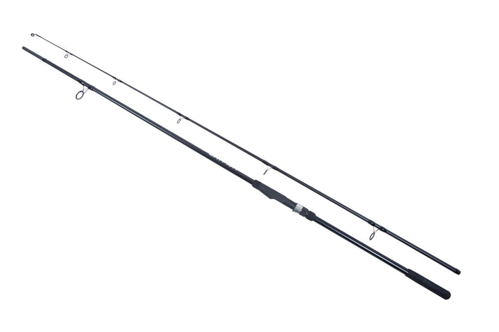 Catfish Welsrute 3.00m (-200g) - Wallerrute