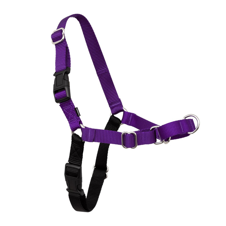 PetSafe Easy Walk Hundegeschirr. schwarz/silber Medium/Large, schwarz/silber Medium/Large