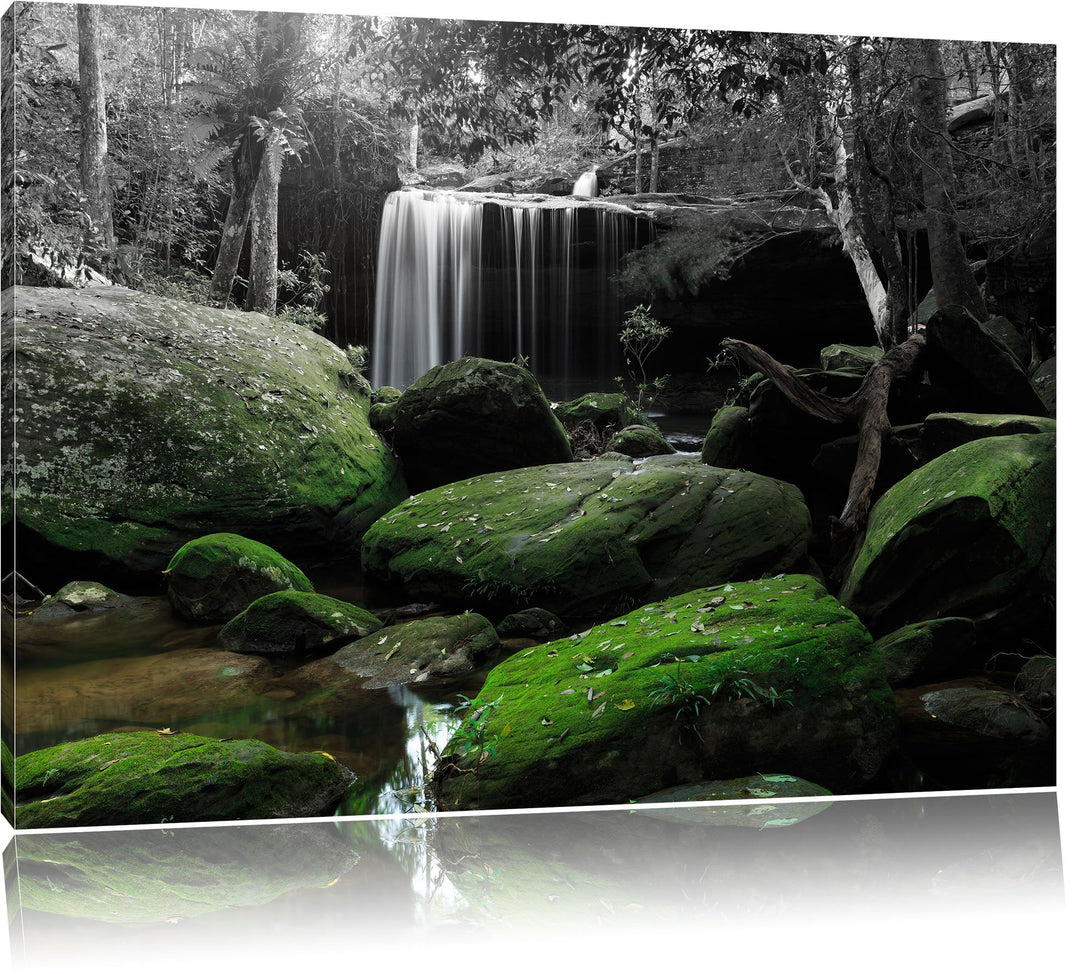 Pixxprint Regenwald in Thailand als Leinwandbild/Grösse: 100x70 / Wandbild/Kunstdruck/fertig bespann