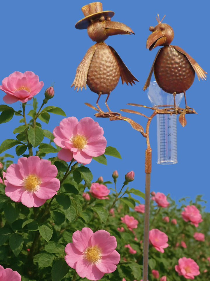 Pommerntraum ® | Regenmesser Niederschlagsmesser Pluviometer Gartenstecker Wetterstation Meisenknöde