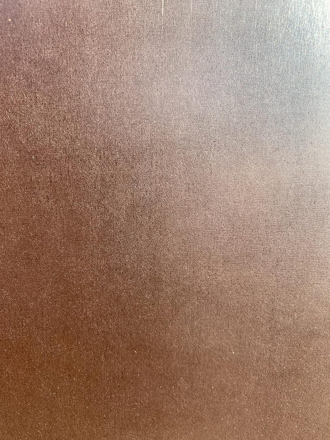 Siebdruckplatte 15mm Kantenversiegelung möglich Siebdruckplatten für z.B. Ihren Anhänger (125 x 70