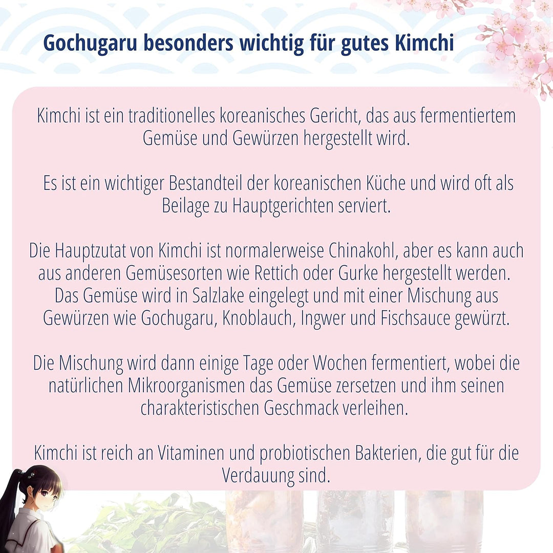 asiafoodland - Gochugaru - Chili Pulver für Kimchi - mildes Red Pepper Powder, 3er Pack (3 x 100g) 1