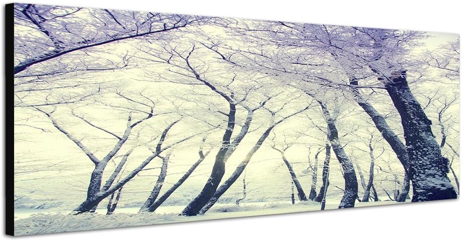 Paul Sinus Art Panoramabild auf Leinwand und Keilrahmen 150x50cm Winterwald Bäume Schnee