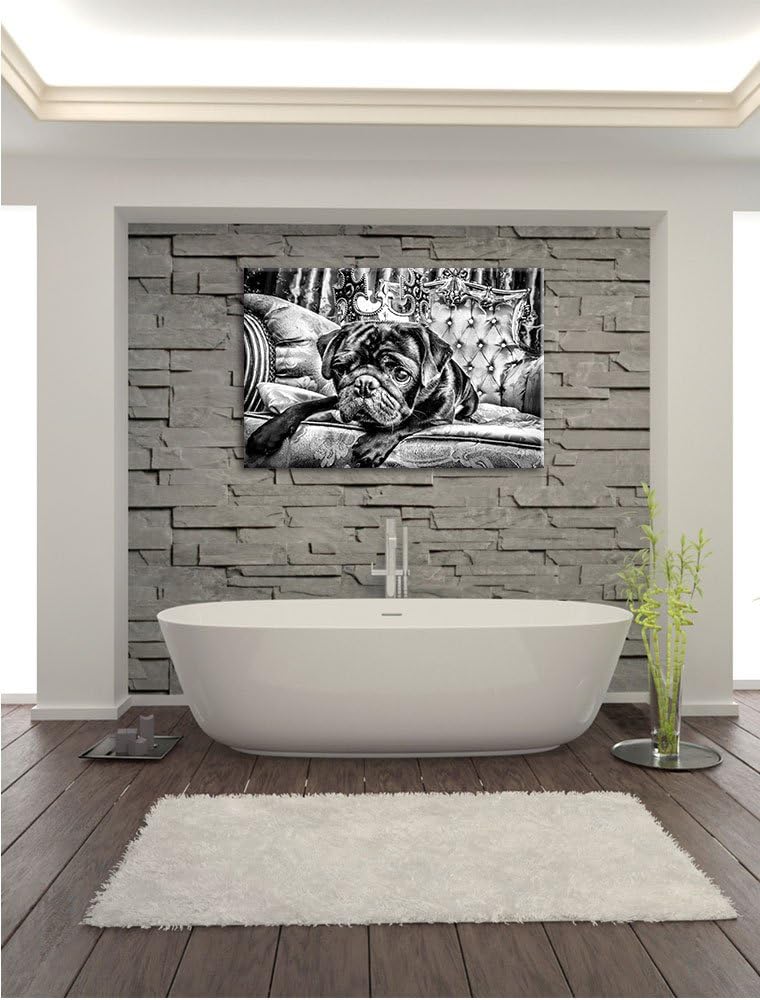 Pixxprint Süsser Mops auf dem Thron als Leinwandbild/Grösse: 100x70 / Wandbild/Kunstdruck/fertig bes