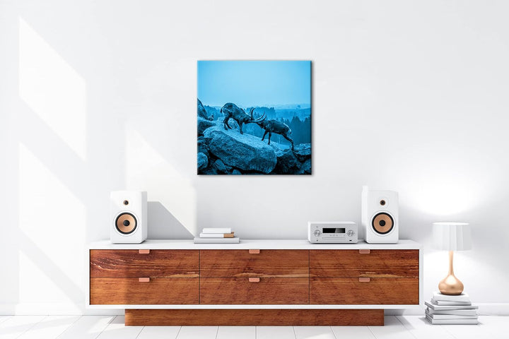 deyoli Zwei kämpfende Steinböcke Format: 70x70 Effekt: Monocrome Blau als Leinwand, Motiv fertig ger