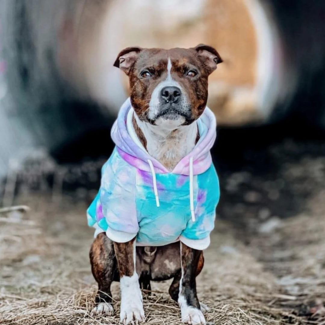 Spark Paws Hunde-Kapuzenpullover, Premium-Qualität, samtweich, überlegener Komfort und Passform, ber