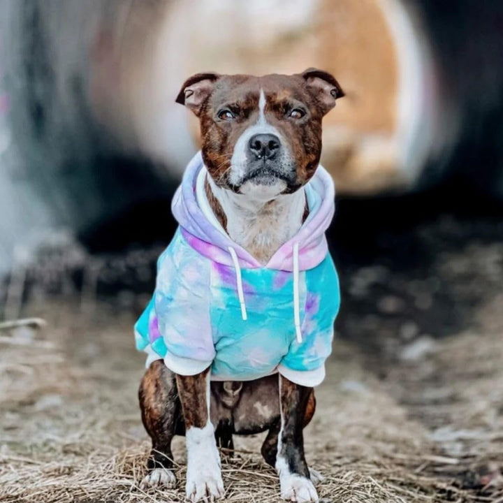 Spark Paws Hunde-Kapuzenpullover, Premium-Qualität, samtweich, überlegener Komfort und Passform, ber