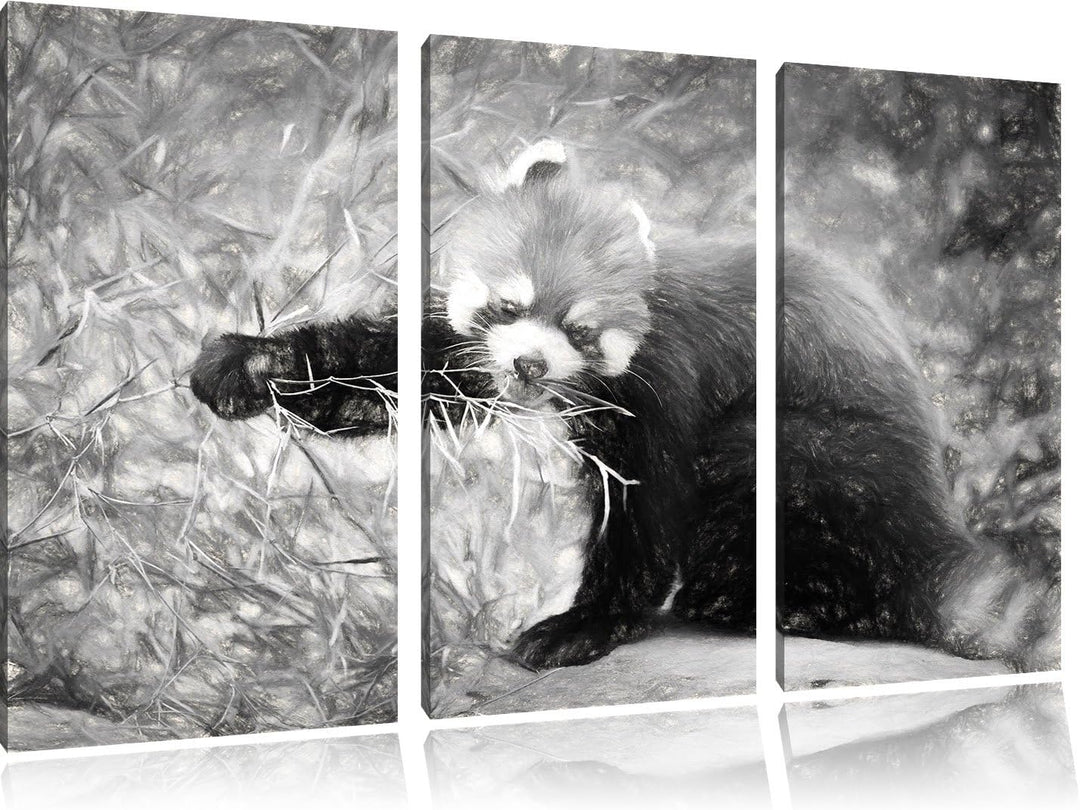 Pixxprint Niedlicher roter Panda Kohle Zeichnung Effekt 3-Teiler Leinwandbild 120x80 Bild auf Leinwa