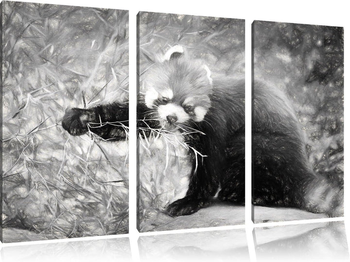 Pixxprint Niedlicher roter Panda Kohle Zeichnung Effekt 3-Teiler Leinwandbild 120x80 Bild auf Leinwa